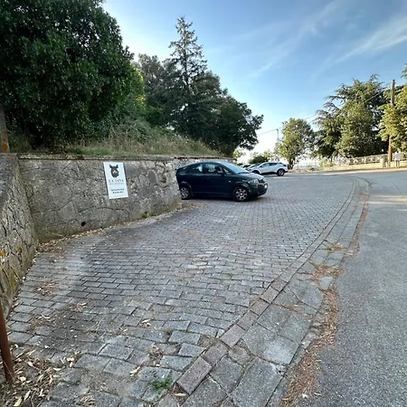 Tana Del Cinghiale Tirli