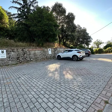 Tana Del Cinghiale Tirli